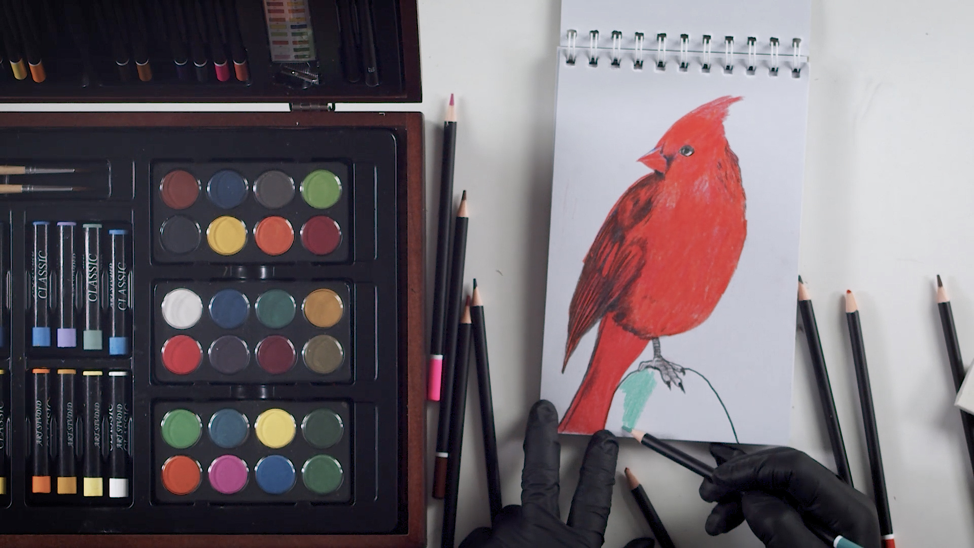 Cardinal Drawing - How To Draw A Cardinal Step By Step