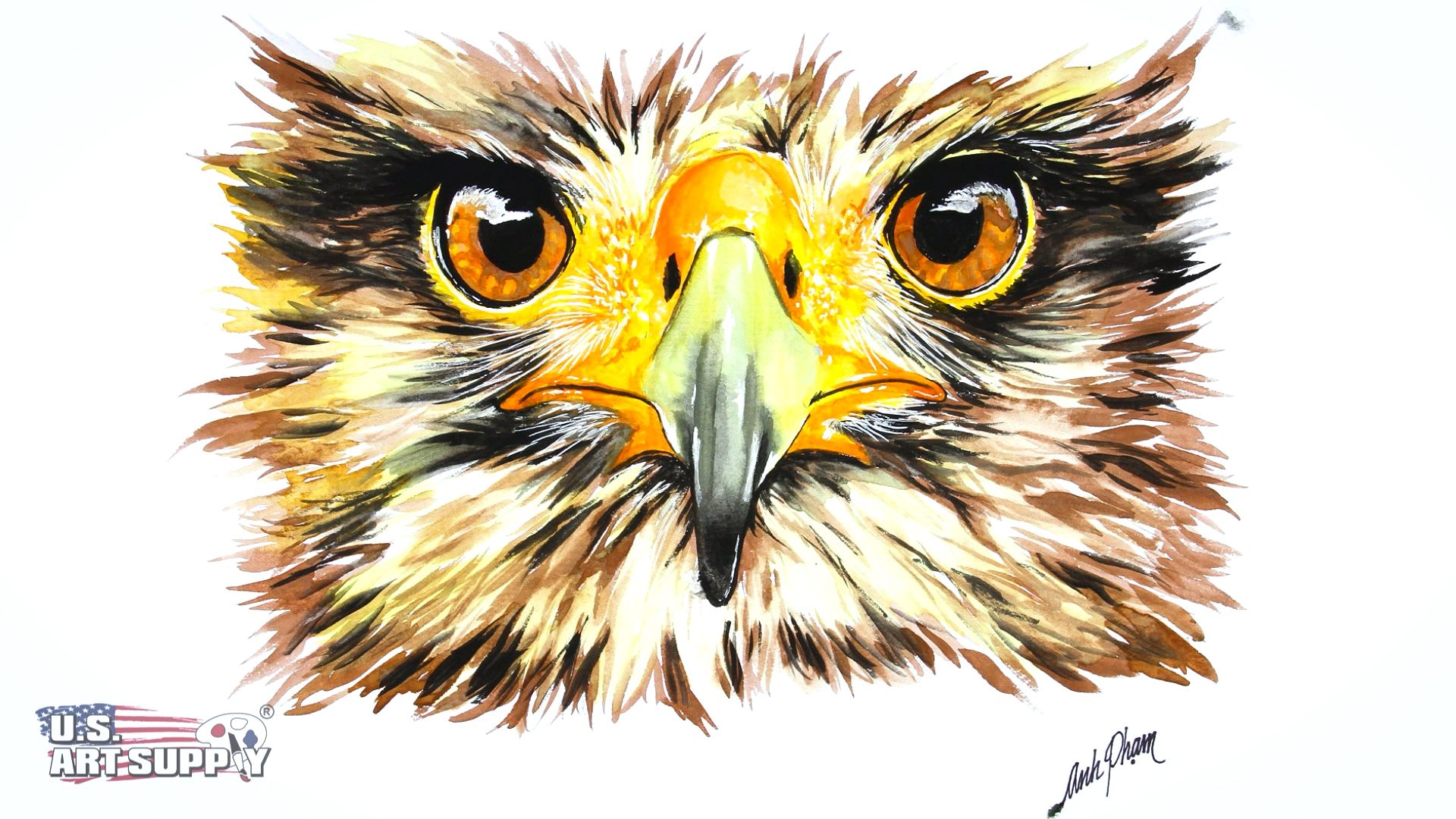 how to draw an eagle eye